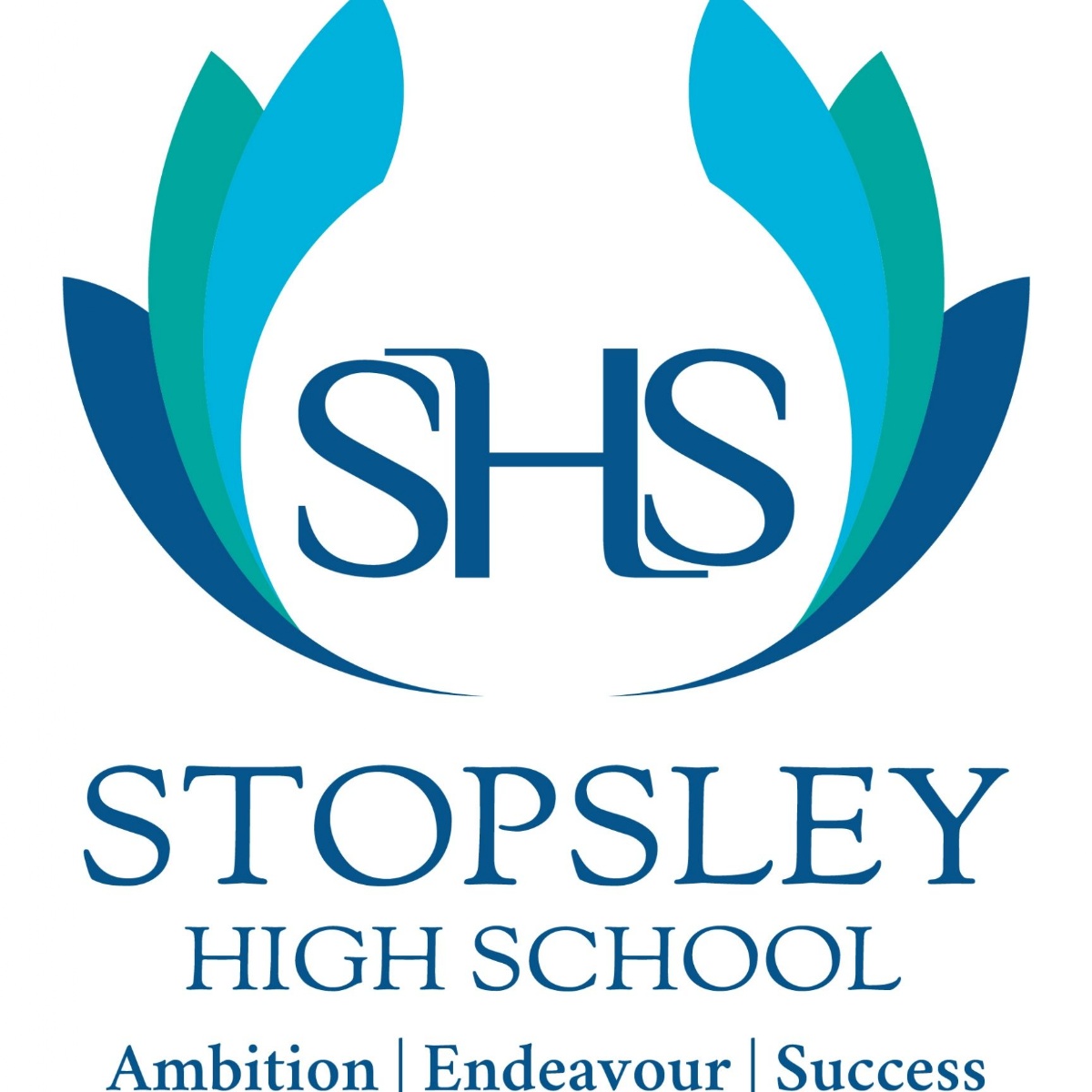 Stopsley High School Stopsley Experience Rewind 2018 2019